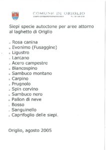 Anteprima PDF