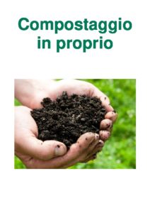 Anteprima PDF