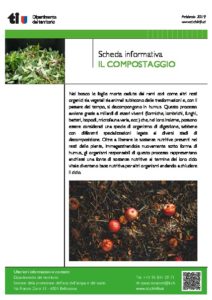 Anteprima PDF