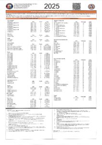 Anteprima PDF