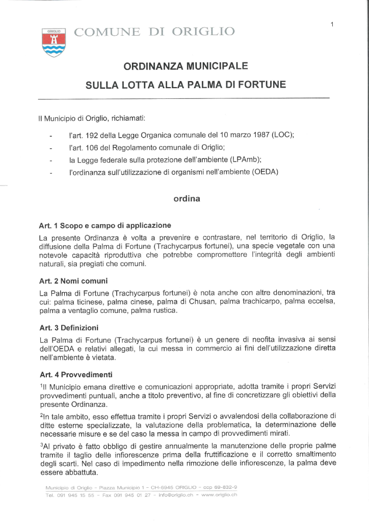 Anteprima file