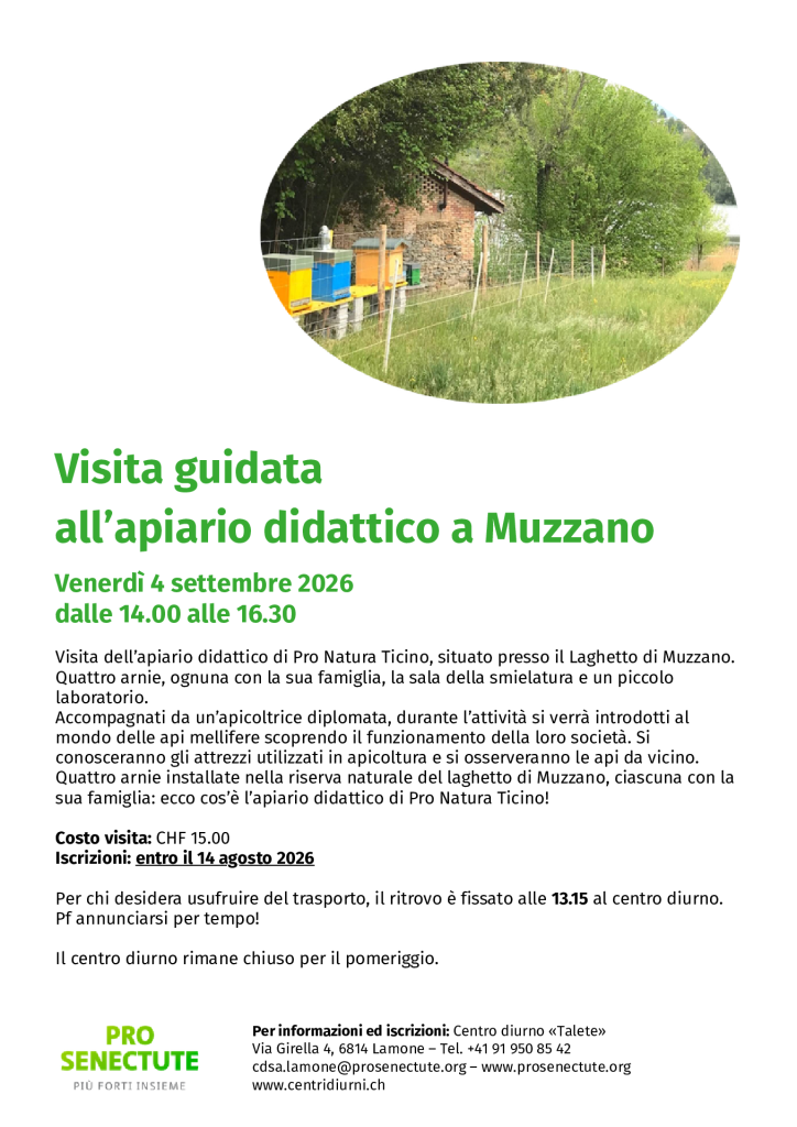 Anteprima file